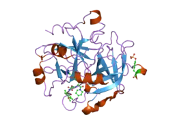 1ypk: Thrombin Inhibitor Complex