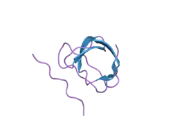 1ywo: Phospholipase Cgamma1 SH3 in complex with a SLP-76 motif