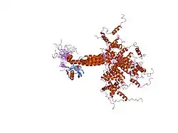 1yx5: Solution Structure of S5a UIM-1/Ubiquitin Complex