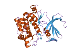 1yxs: Crystal Structure of Kinase Pim1 with P123M mutation