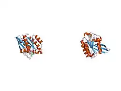 1yzu: GppNHp-Bound Rab21 GTPase at 2.50 A Resolution