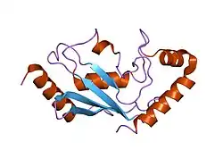 1z3d: Protein crystal growth improvement leading to the 2.5A crystallographic structure of ubiquitin-conjugating enzyme (ubc-1) from Caenorhabditis elegans