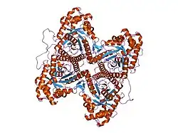 1zal: Fructose-1,6-bisphosphate aldolase from rabbit muscle in complex with partially disordered tagatose-1,6-bisphosphate, a weak competitive inhibitor