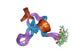 1zfo: AMINO-TERMINAL LIM-DOMAIN PEPTIDE OF LASP-1, NMR