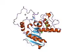 1zi3: Crystal Structure of Human N-acetylgalactosaminyltransferase (GTA) Complexed with N-acetyllactosamine