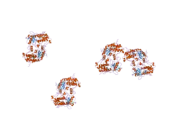 1zws: Crystal structure of the catalytic domain of human DRP-1 kinase