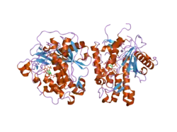 1zy7: Crystal structure of the catalytic domain of an adenosine deaminase that acts on RNA (hADAR2) bound to inositol hexakisphosphate (IHP)
