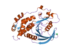 2a8b: Crystal Structure of the Catalytic Domain of Human Tyrosine Phosphatase Receptor, Type R
