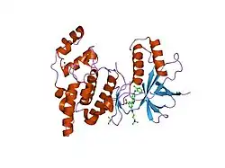 2b1p: inhibitor complex of JNK3
