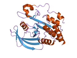 2b49: Crystal Structure of the Catalytic Domain of Protein Tyrosine Phosphatase, non-receptor Type 3