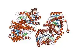 2bel: STRUCTURE OF HUMAN 11-BETA-HYDROXYSTEROID DEHYDROGENASE IN COMPLEX WITH NADP AND CARBENOXOLONE