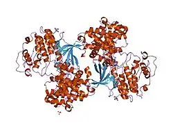 2bkz: STRUCTURE OF CDK2-CYCLIN A WITH PHA-404611