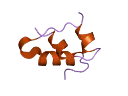 2bn3: INSULIN BEFORE A HIGH DOSE X-RAY BURN