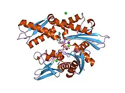 2bup: T13G MUTANT OF THE ATPASE FRAGMENT OF BOVINE HSC70