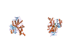 2bxs: HUMAN MONOAMINE OXIDASE A IN COMPLEX WITH CLORGYLINE, CRYSTAL FORM B