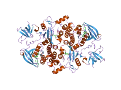 2c0i: SRC FAMILY KINASE HCK WITH BOUND INHIBITOR A-420983