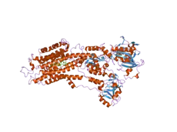 2c8l: CRYSTAL STRUCTURE OF (SR) CALCIUM-ATPASE E2(TG) FORM