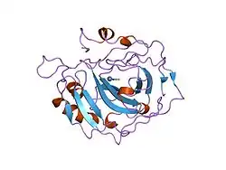 2ca2: CRYSTALLOGRAPHIC STUDIES OF INHIBITOR BINDING SITES IN HUMAN CARBONIC ANHYDRASE II. A PENTACOORDINATED BINDING OF THE SCN-ION TO THE ZINC AT HIGH P*H