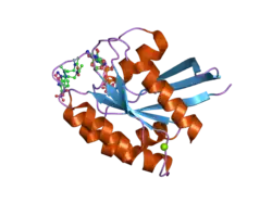 2cl7: CRYSTAL STRUCTURE ANALYSIS OF A FLUORESCENT FORM OF H-RAS P21 IN COMPLEX WITH GTP