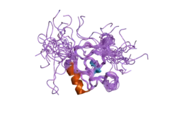 2d8r: Solution structure of the thap domain of the human thap domain-containing protein 2