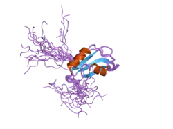 2dh7: Solution structure of the second RNA binding domain in Nucleolysin TIAR