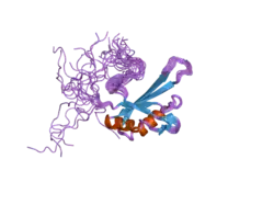 2dny: Solution structure of the third RNA binding domain of FBP-interacting repressor, SIAHBP1