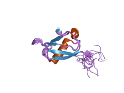 2dzi: 2DZI/Solution Structure of the N-terminal Ubiquitin-like Domain in Human Ubiquitin-like Protein 4A (GDX)