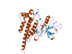 2f4j: Structure of the Kinase Domain of an Imatinib-Resistant Abl Mutant in Complex with the Aurora Kinase Inhibitor VX-680