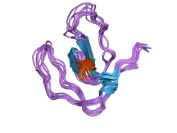 2frw: Solution structure of the second SH3 domain of human adaptor protein NCK2