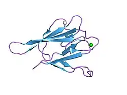 2g1l: Crystal structure of the FHA domain of human kinesin family member C