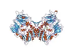 2g5t: Crystal structure of human dipeptidyl peptidase IV (DPPIV) complexed with cyanopyrrolidine (C5-pro-pro) inhibitor 21ag