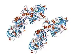 2g94: Crystal structure of beta-secretase bound to a potent and highly selective inhibitor.