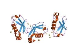 2gbr: Crystal Structure of the 35-36 MoaD Insertion Mutant of Ubiquitin