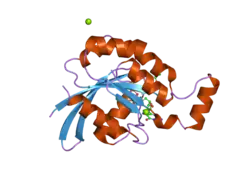 2gcp: Crystal structure of the human RhoC-GSP complex