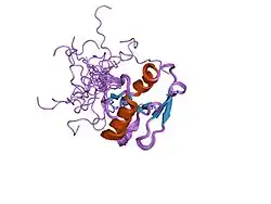 2ghf: Solution structure of the complete zinc-finger region of human zinc-fingers and homeoboxes 1 (ZHX1)