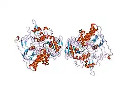 2gmj: Structure of Porcine Electron Transfer Flavoprotein-Ubiquinone Oxidoreductase
