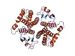 2gtu: LIGAND-FREE HUMAN GLUTATHIONE S-TRANSFERASE M2-2 (E.C.2.5.1.18), MONOCLINIC CRYSTAL FORM
