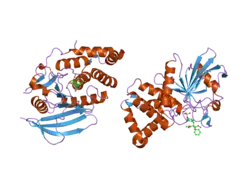 2h02: Structural studies of protein tyrosine phosphatase beta catalytic domain in complex with inhibitors