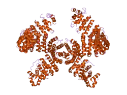 2h4m: Karyopherin Beta2/Transportin-M9NLS