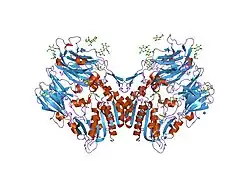 2hha: The structure of DPP4 in complex with an oxadiazole inhibitor