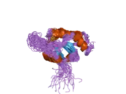 2hrn: Solution Structure of Cu(I) P174L-HSco1