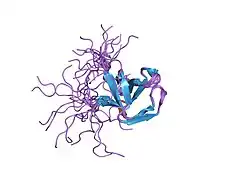2hsp: SOLUTION STRUCTURE OF THE SH3 DOMAIN OF PHOSPHOLIPASE CGAMMA