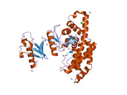 2i7q: Crystal structure of Human Choline Kinase A