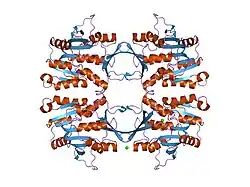 2idj: Crystal Structure of Rat Glycine N-Methyltransferase Apoprotein, Monoclinic Form
