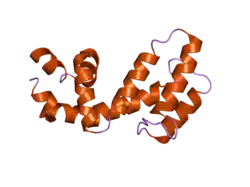 2ihd: Crystal structure of Human Regulator of G-protein signaling 8, RGS8