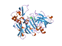2irz: Crystal structure of human Beta-secretase complexed with inhibitor