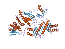 2j3t: THE CRYSTAL STRUCTURE OF THE BET3-TRS33-BET5-TRS23 COMPLEX.