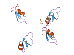 2nlh: Human beta-defensin-1 (Mutant GLN24ALA)