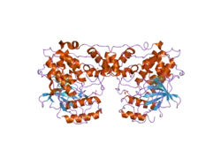 2no3: Novel 4-anilinopyrimidines as potent JNK1 Inhibitors