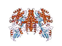 Transferrin receptor complex.[20]